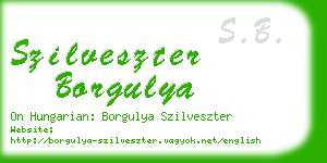 szilveszter borgulya business card